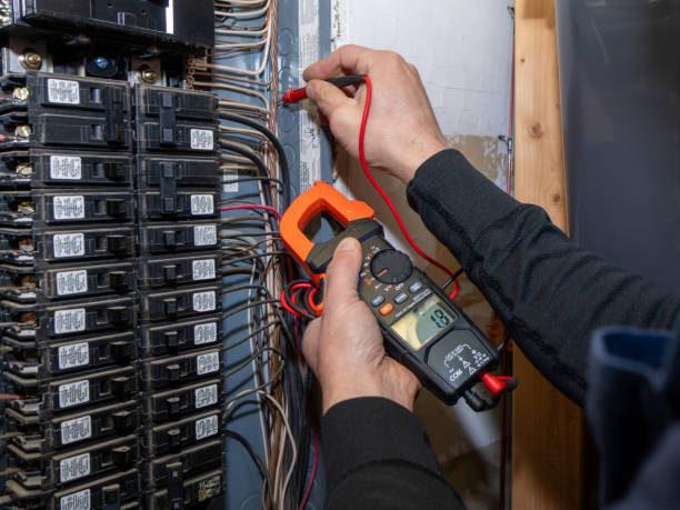 Best Ceiling Fan Installation Electrician  in Diboll, TX