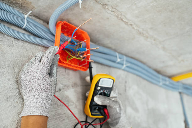 Best Electric Panel Repair  in Diboll, TX